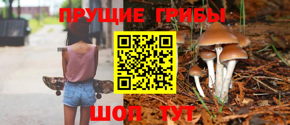 Псилоцибиновые грибы мицелий Ковров